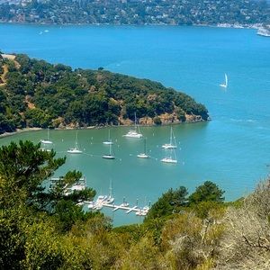 Meet your Posher, Jessica.